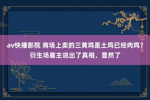 av快播影院 商场上卖的三黄鸡是土鸡已经肉鸡？衍生场雇主说出了真相，显然了