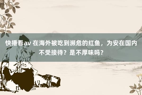 快播看av 在海外被吃到濒危的红鱼，为安在国内不受接待？是不厚味吗？