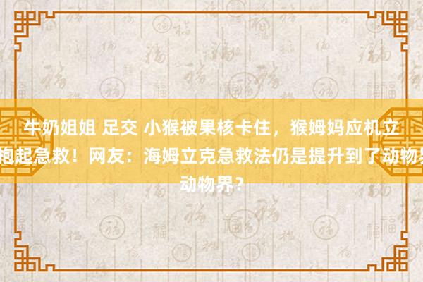 牛奶姐姐 足交 小猴被果核卡住，猴姆妈应机立断抱起急救！网友：海姆立克急救法仍是提升到了动物界？