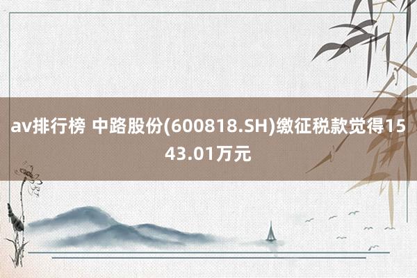 av排行榜 中路股份(600818.SH)缴征税款觉得1543.01万元