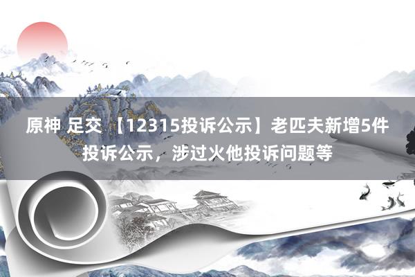 原神 足交 【12315投诉公示】老匹夫新增5件投诉公示，涉过火他投诉问题等