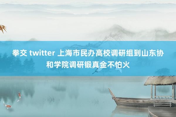 拳交 twitter 上海市民办高校调研组到山东协和学院调研锻真金不怕火