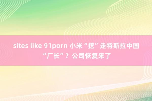 sites like 91porn 小米“挖”走特斯拉中国“厂长”？公司恢复来了