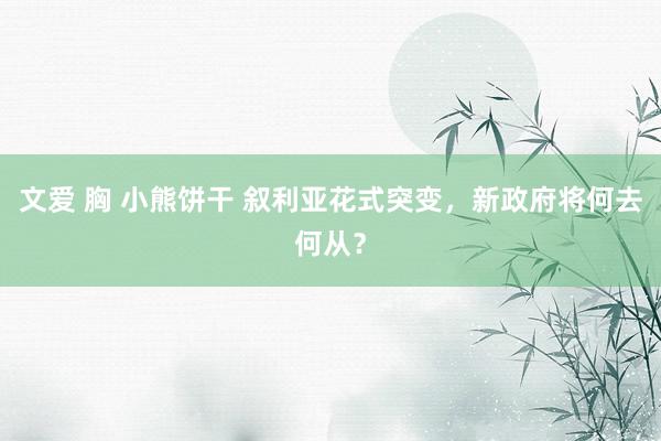 文爱 胸 小熊饼干 叙利亚花式突变，新政府将何去何从？