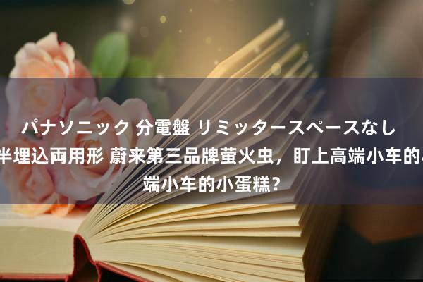 パナソニック 分電盤 リミッタースペースなし 露出・半埋込両用形 蔚来第三品牌萤火虫，盯上高端小车的小蛋糕？