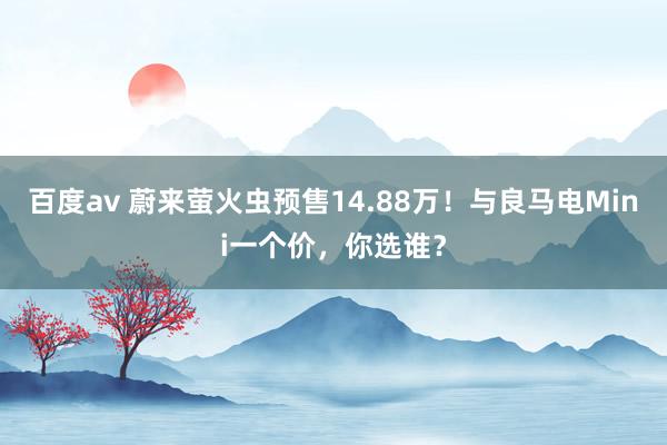 百度av 蔚来萤火虫预售14.88万！与良马电Mini一个价，你选谁？