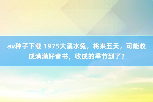 av种子下载 1975大溪水兔，将来五天，可能收成满满好音书，收成的季节到了？