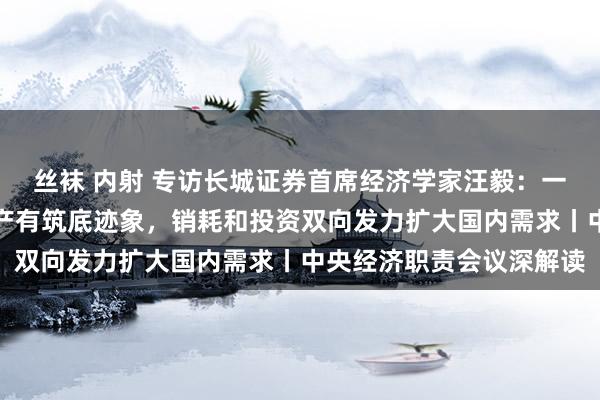 丝袜 内射 专访长城证券首席经济学家汪毅：一线、强二线中枢肠段房产有筑底迹象，销耗和投资双向发力扩大国内需求丨中央经济职责会议深解读