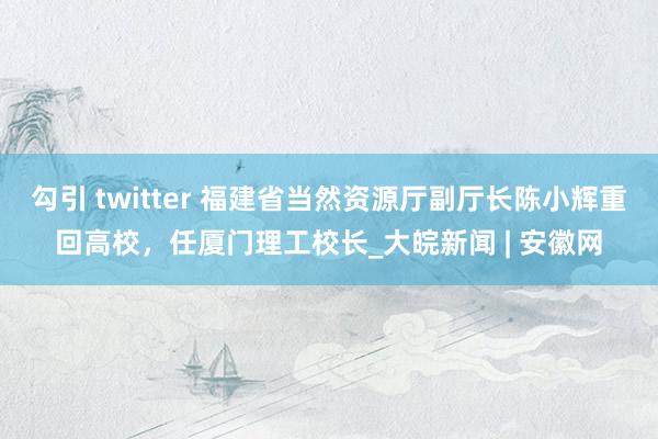 勾引 twitter 福建省当然资源厅副厅长陈小辉重回高校，任厦门理工校长_大皖新闻 | 安徽网