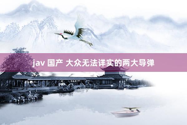 jav 国产 大众无法详实的两大导弹