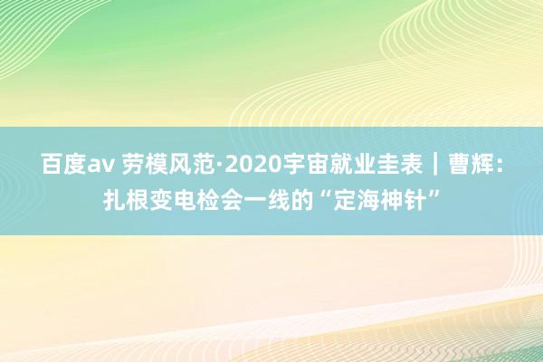 百度av 劳模风范·2020宇宙就业圭表｜曹辉：扎根变电检会一线的“定海神针”