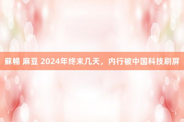 蘇暢 麻豆 2024年终末几天，内行被中国科技刷屏