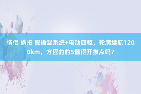 情侣 偷拍 配插混系统+电动四驱，轮廓续航1200km，方程豹豹5值得开拔点吗？