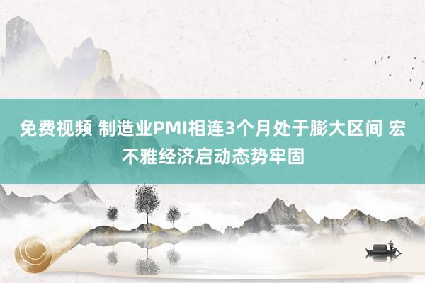 免费视频 制造业PMI相连3个月处于膨大区间 宏不雅经济启动态势牢固