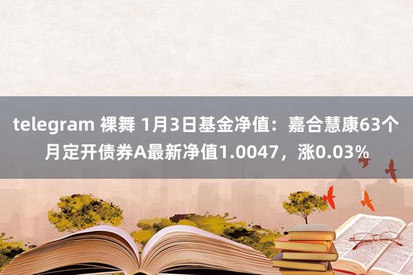 telegram 裸舞 1月3日基金净值：嘉合慧康63个月定开债券A最新净值1.0047，涨0.03%