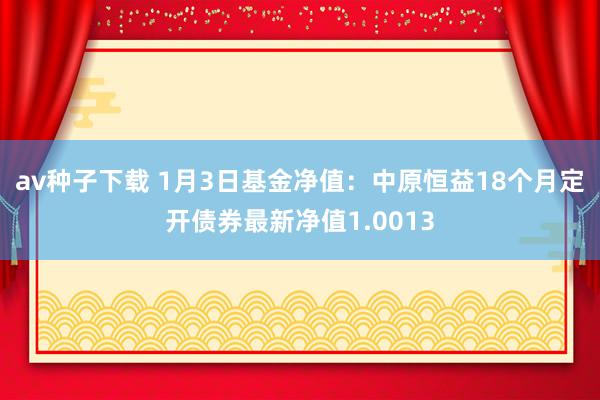 av种子下载 1月3日基金净值：中原恒益18个月定开债券最新净值1.0013