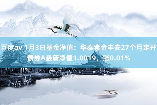 百度av 1月3日基金净值：华泰紫金丰安27个月定开债券A最新净值1.0019，涨0.01%