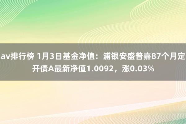 av排行榜 1月3日基金净值：浦银安盛普嘉87个月定开债A最新净值1.0092，涨0.03%