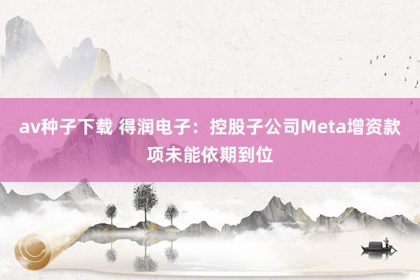 av种子下载 得润电子：控股子公司Meta增资款项未能依期到位