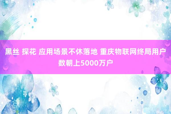 黑丝 探花 应用场景不休落地 重庆物联网终局用户数朝上5000万户