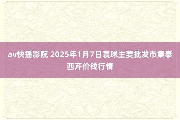 av快播影院 2025年1月7日寰球主要批发市集泰西芹价钱行情