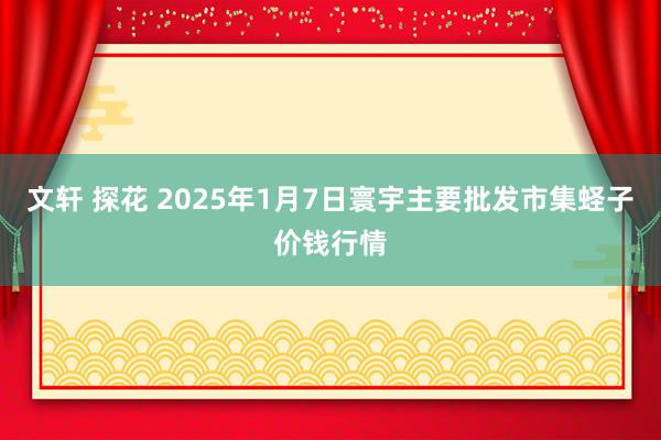 文轩 探花 2025年1月7日寰宇主要批发市集蛏子价钱行情