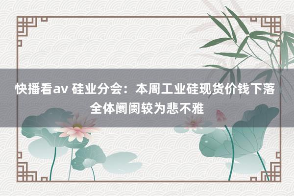 快播看av 硅业分会：本周工业硅现货价钱下落 全体阛阓较为悲不雅