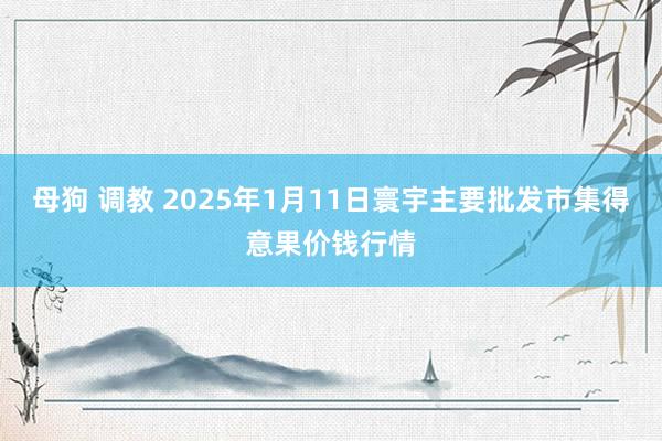 母狗 调教 2025年1月11日寰宇主要批发市集得意果价钱行情