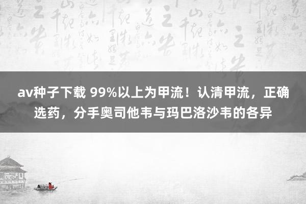 av种子下载 99%以上为甲流！认清甲流，正确选药，分手奥司他韦与玛巴洛沙韦的各异