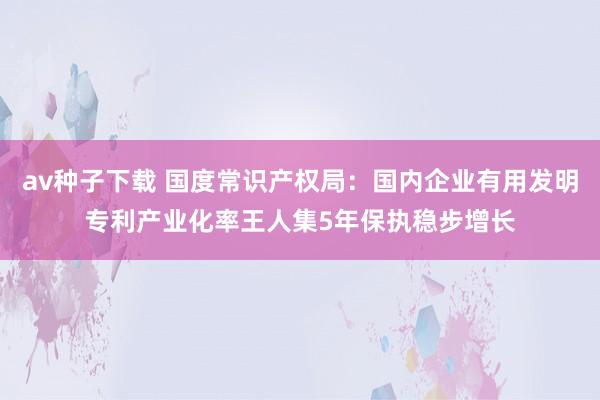 av种子下载 国度常识产权局：国内企业有用发明专利产业化率王人集5年保执稳步增长